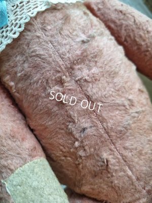 画像8: JPMピンクテディベア