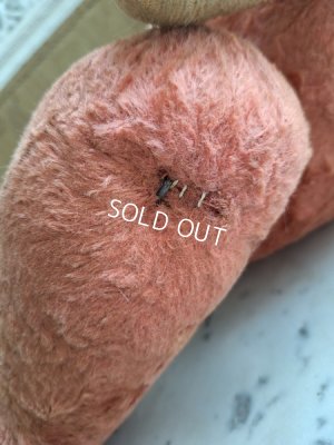 画像22: JPMピンクテディベア