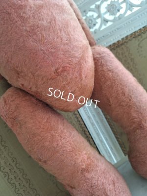 画像13: JPMピンクテディベア