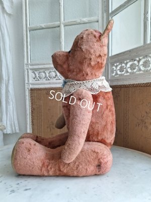 画像19: JPMピンクテディベア