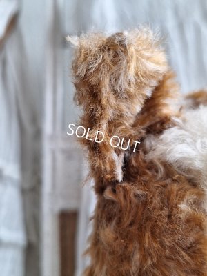 画像5: 車輪付きドッグ