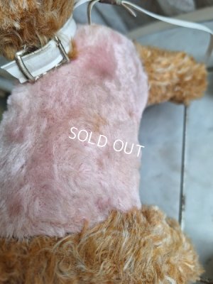 画像10: 車輪付きドッグ