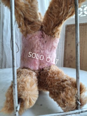 画像14: 車輪付きドッグ