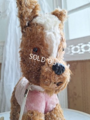 画像7: 車輪付きドッグ