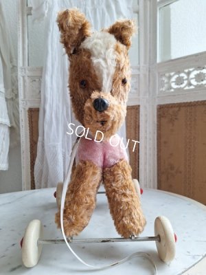 画像16: 車輪付きドッグ