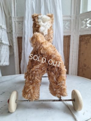 画像18: 車輪付きドッグ