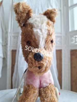 画像2: 車輪付きドッグ