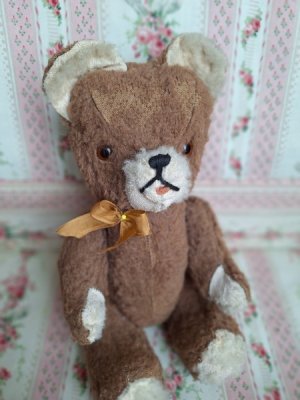 frenchteddybear