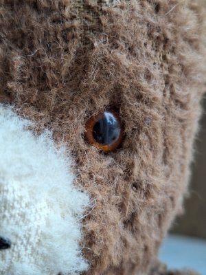 画像3: フレンチテディベア