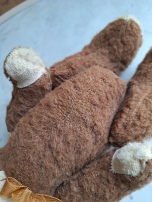 画像9: フレンチテディベア