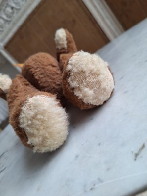 画像12: フレンチテディベア