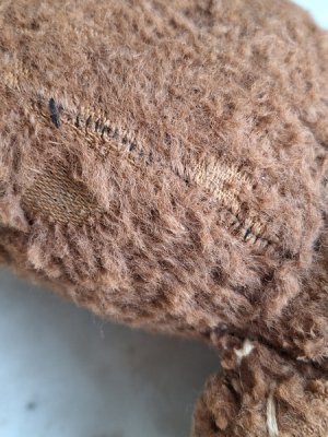 画像19: フレンチテディベア