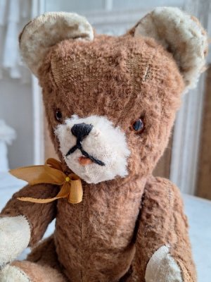 画像6: フレンチテディベア