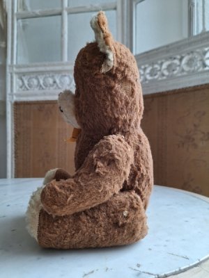 画像16: フレンチテディベア