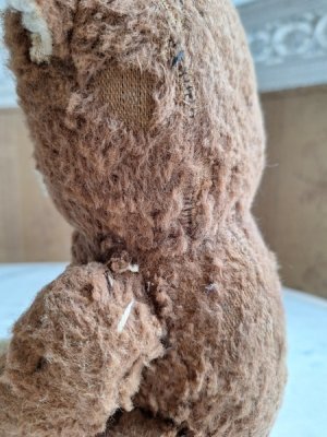 画像21: フレンチテディベア