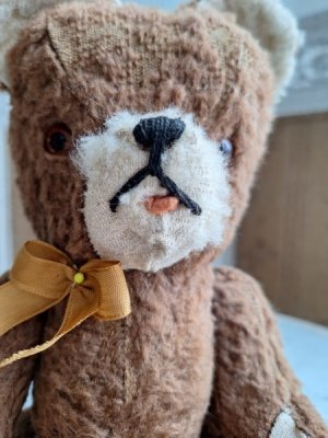 画像5: フレンチテディベア