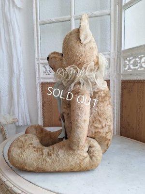 画像11: JPMテディベア