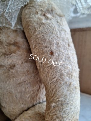 画像14: JPMテディベア