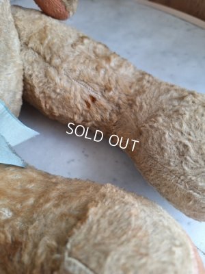 画像17: JPMテディベア