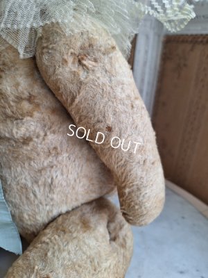 画像18: JPMテディベア