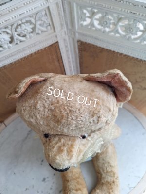 画像9: JPMテディベア