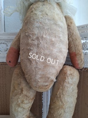 画像19: JPMテディベア