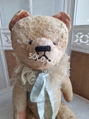 画像3: JPMテディベア