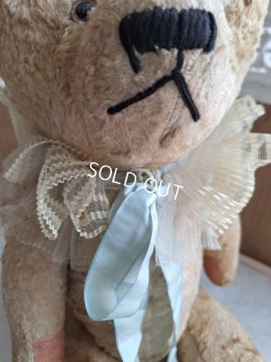 画像6: JPMテディベア