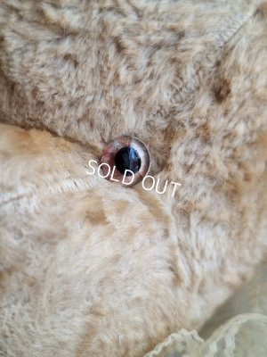 画像8: JPMテディベア