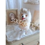 画像: LouLouドッグ