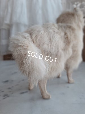 画像5: LouLouドッグ