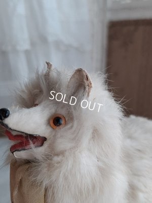 画像3: LouLouドッグ