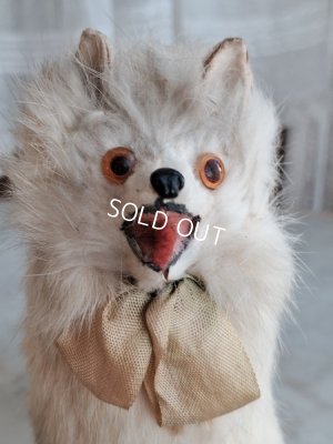 画像4: LouLouドッグ