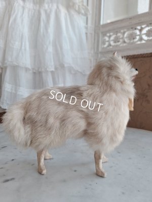 画像11: LouLouドッグ