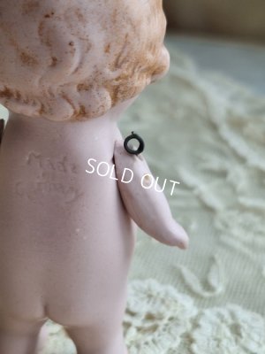 画像14: Hertwigオールビスクドール