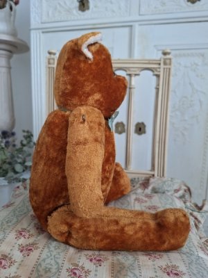 画像13: JPMフレンチテディベア