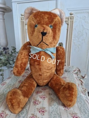 画像9: JPMフレンチテディベア