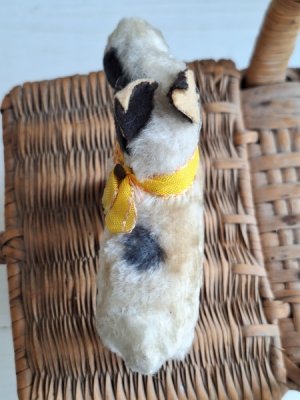 画像6: ヴィンテージテリア