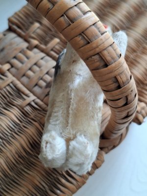 画像7: ヴィンテージテリア