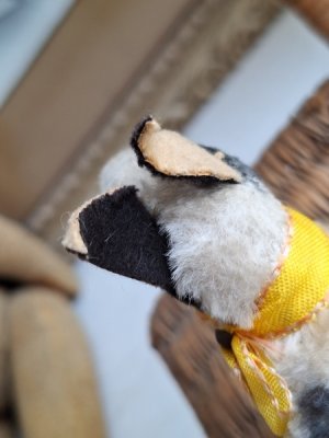 画像8: ヴィンテージテリア