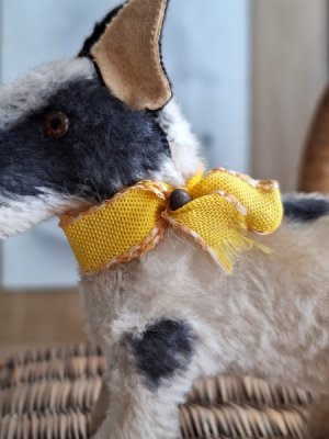 画像5: ヴィンテージテリア