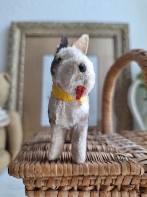 画像9: ヴィンテージテリア