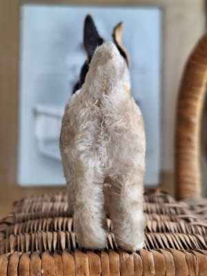 画像11: ヴィンテージテリア