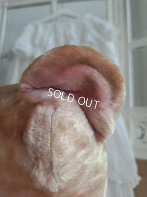 画像3: ピンクテディベア