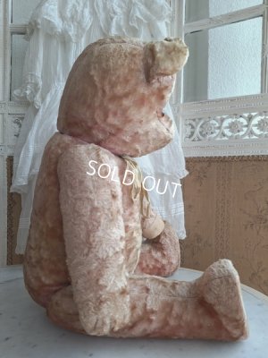 画像8: ピンクテディベア