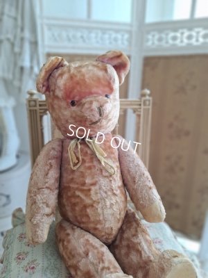 画像17: ピンクテディベア