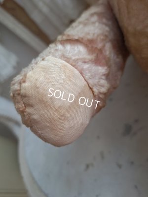 画像18: ピンクテディベア