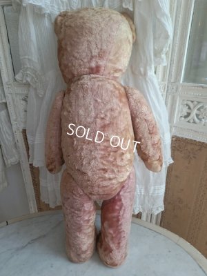 画像20: ピンクテディベア