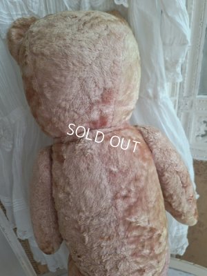 画像22: ピンクテディベア