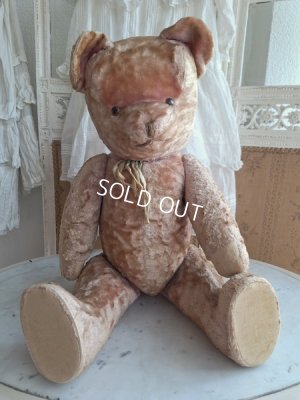 画像7: ピンクテディベア